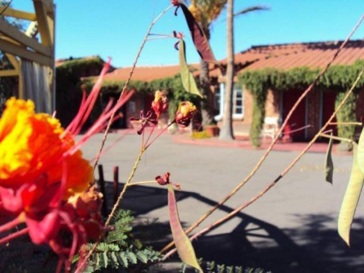 La Siesta Motel Tucson Exterior foto